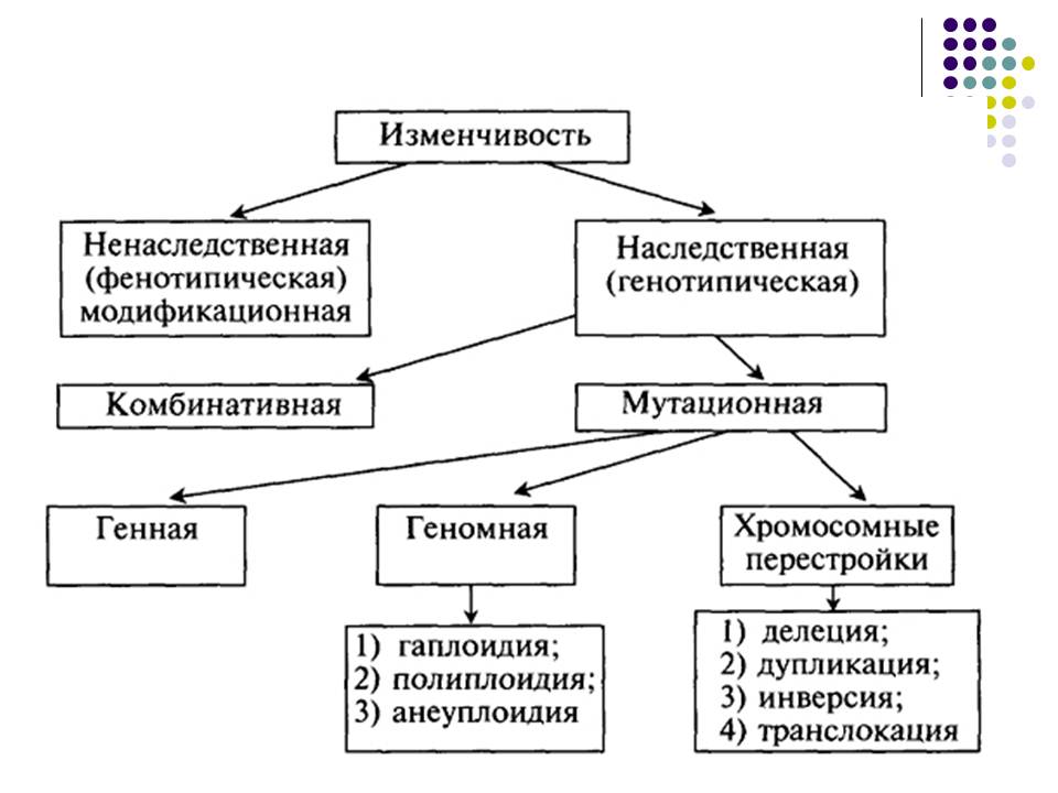 Наследственность и изменчивость презентация 11 класс