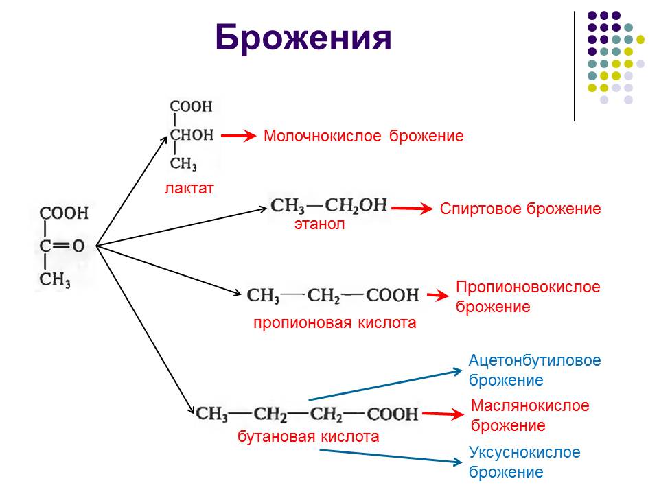 Общая схема брожения