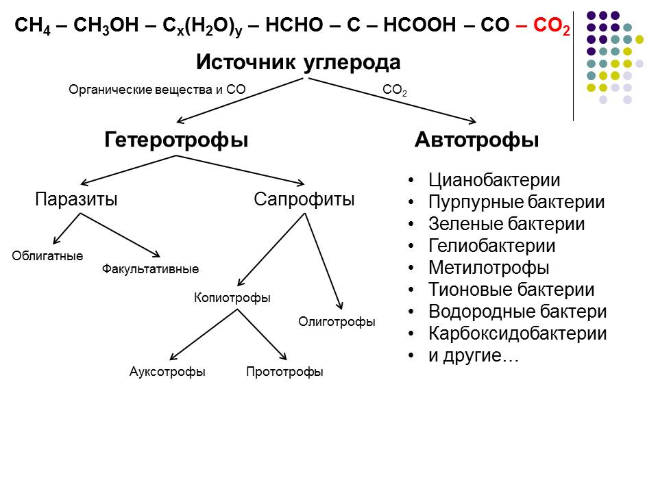 Ауксотрофы. Типы питания микроорганизмов микробиология таблица. Типы питания бактерий схема.